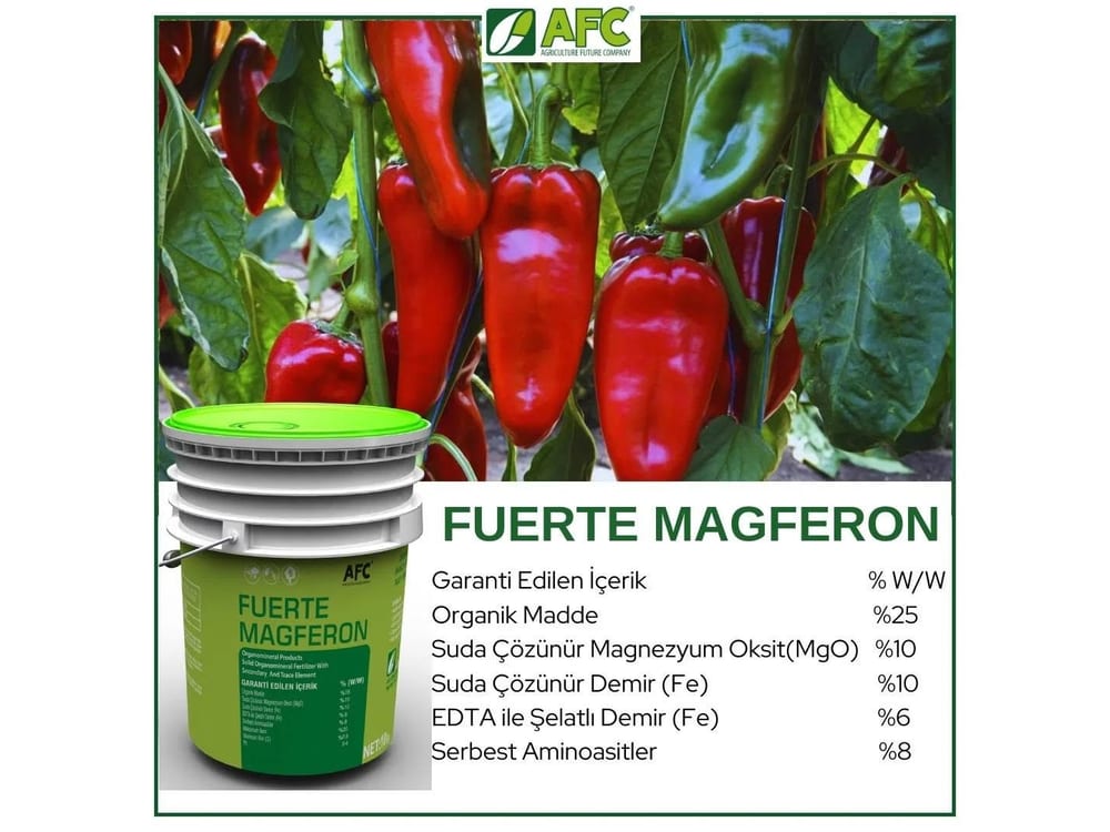 AFC FUERTE MAGFERON